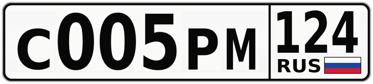 С005РМ 124